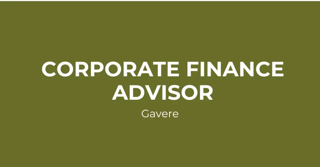 Corporate Finance Advisor